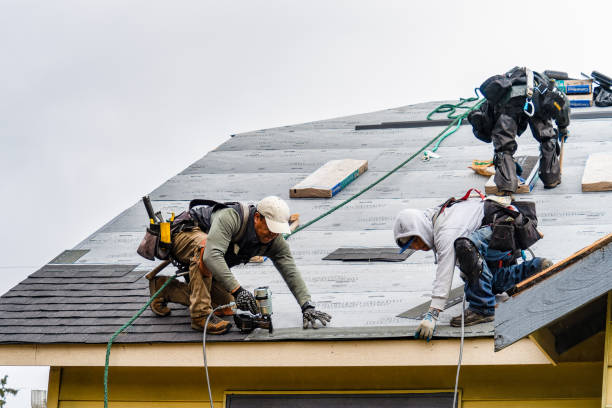 Professional Roof Installation technician working in Pledger, TX